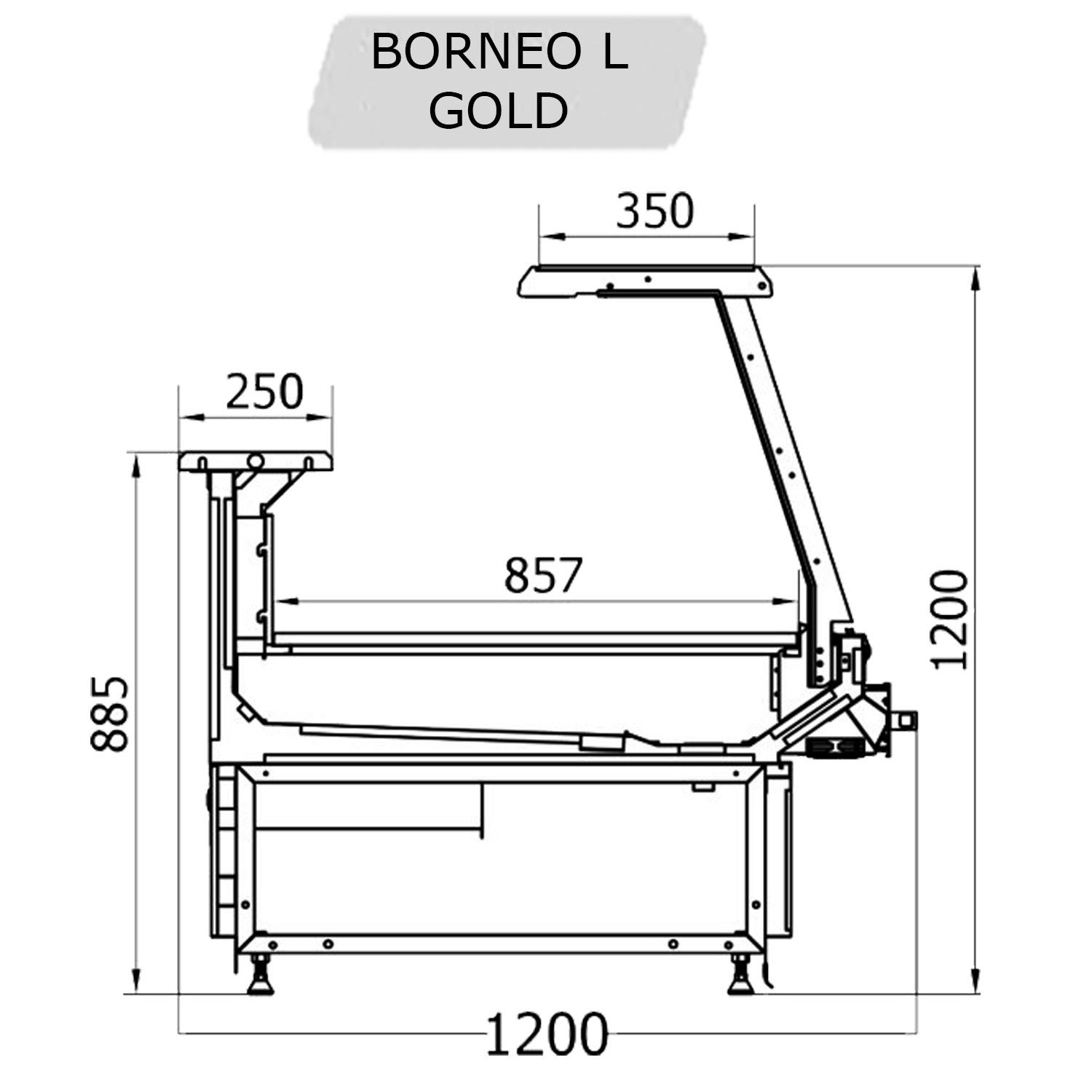 BORNEO L GOLD