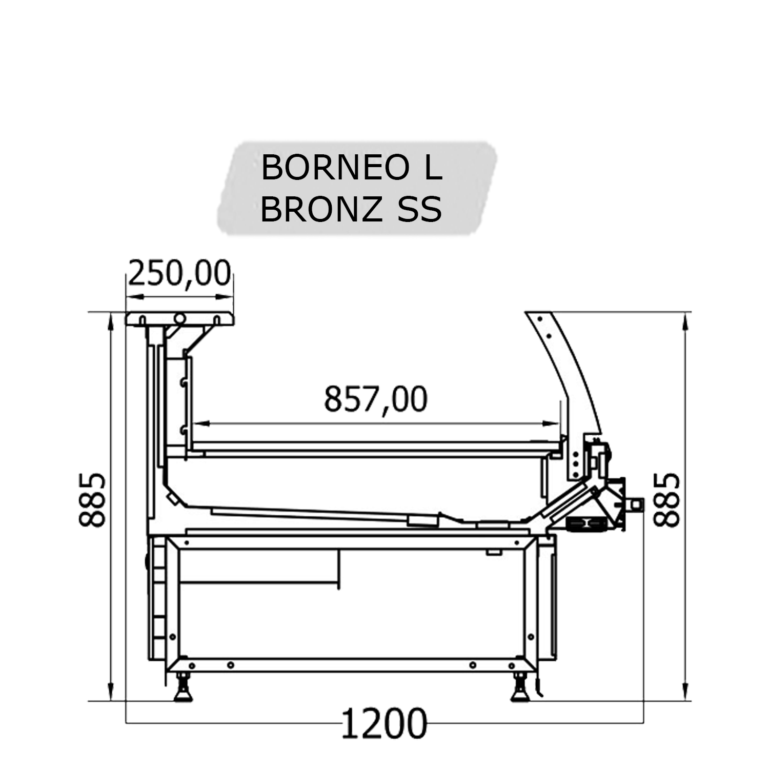 BORNEO L BRONZ SS