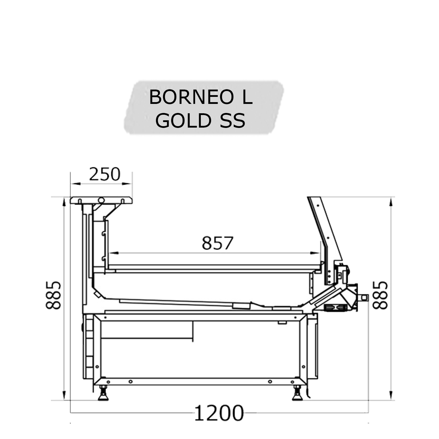 BORNEO L GOLD SS