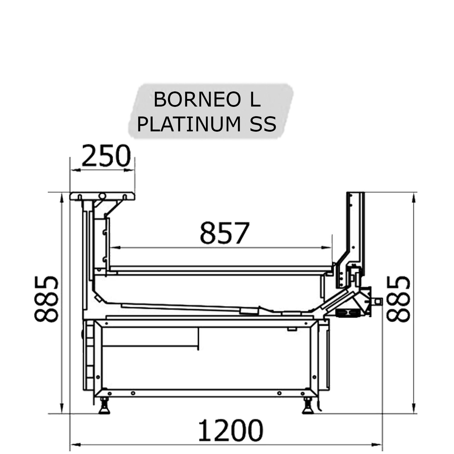 BORNEO L PLATINUM SS